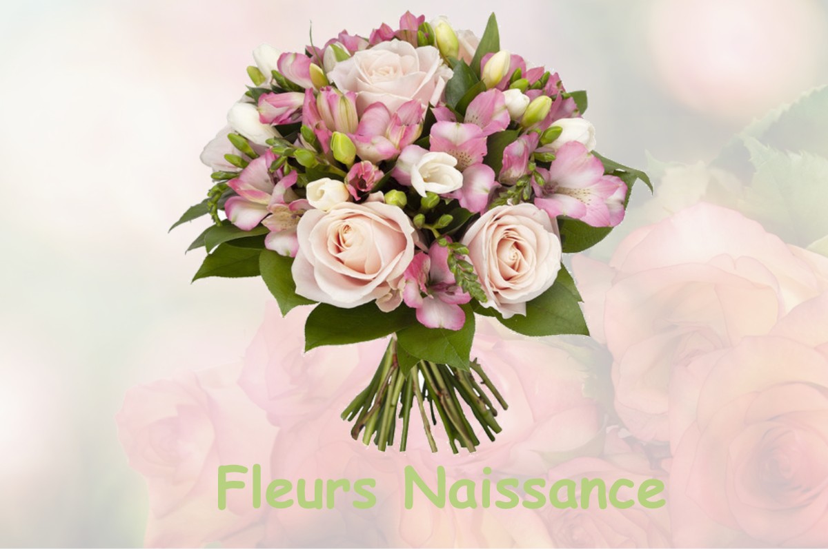 fleurs naissance DURFORT-ET-SAINT-MARTIN-DE-SOSSENAC